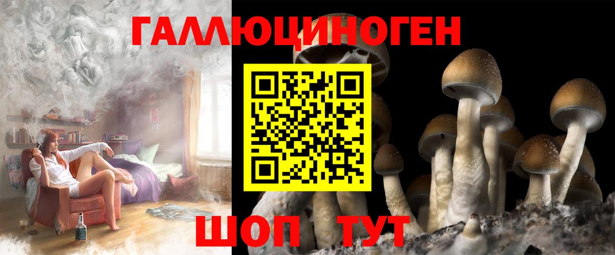 Галлюциногенные грибы Psilocybe  Вход с VPN  Рассказово  Галлюциногенные грибы Psilocybe 